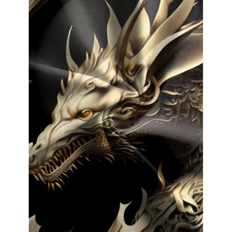 Setelan Hoodie dan Celana Olah - 3D Printing Dragon ulasan dan harga